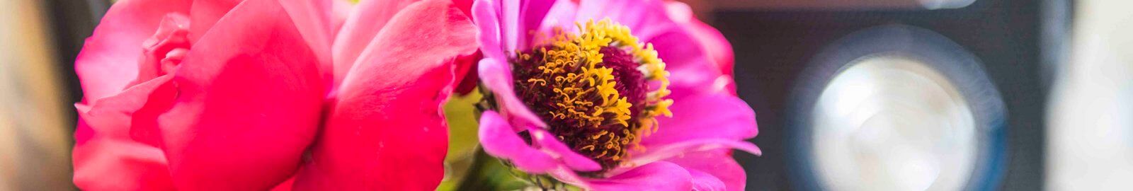 Testimonials